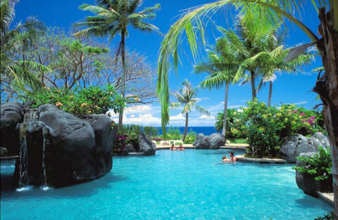 Carribean tourist resort pool